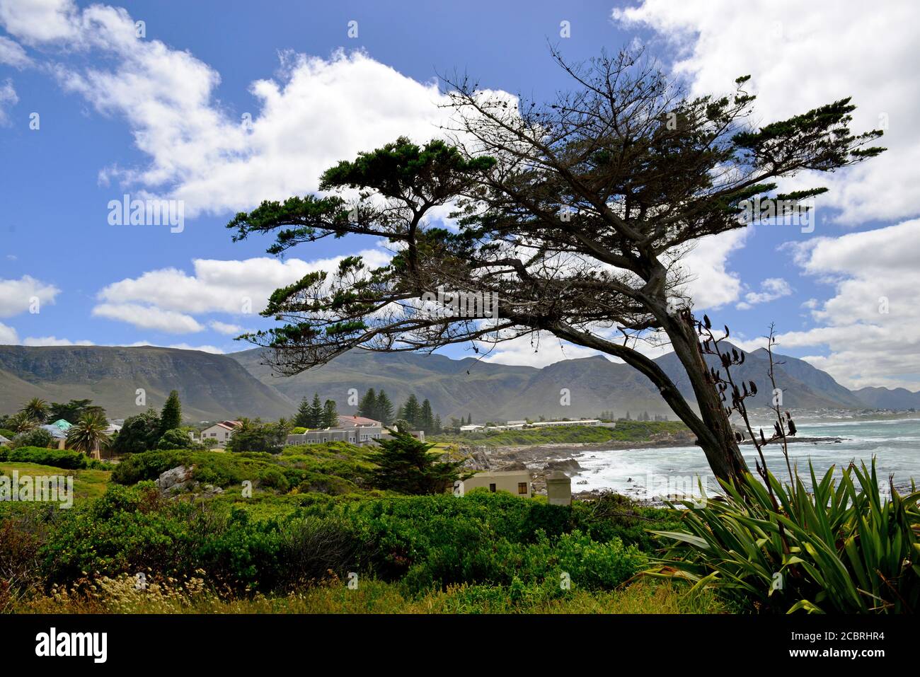 Die Küste von Hermanus in Südafrika Stockfoto