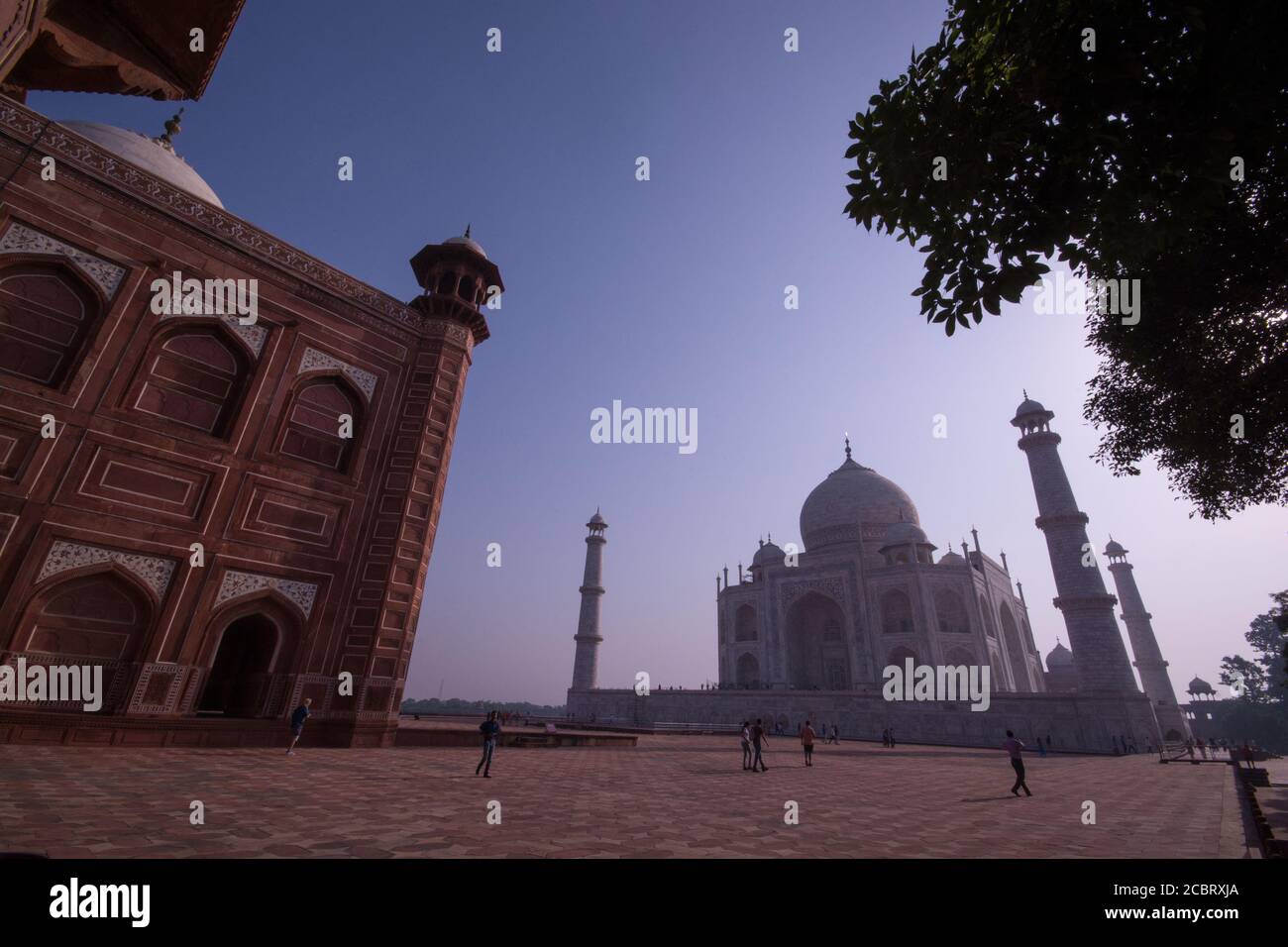 Schellute taj mahal agra indien Stockfoto
