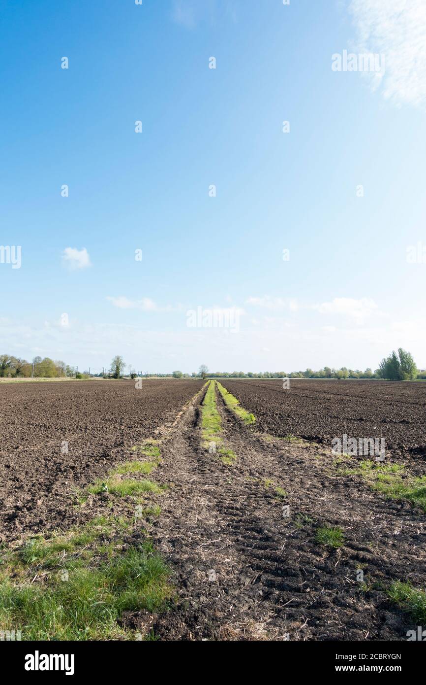 Gepflügte und gepflügte Felder bereit für die Aussaat von Kulturen Stockfoto