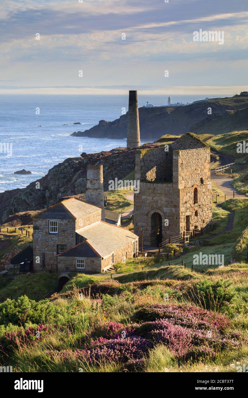 Levant Mine in Cornwall wurde an einem Morgen Anfang August gefangen, als die Heide in Blüte stand. Stockfoto