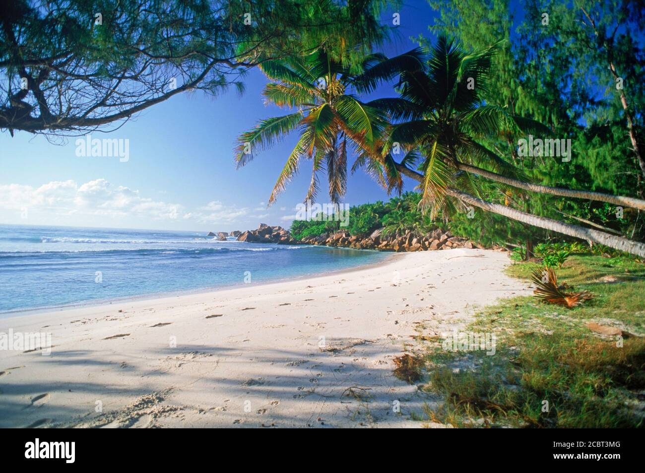 Granitfelsen mit sandigen Ufern und Palmen La Digue auf den Seychellen Stockfoto