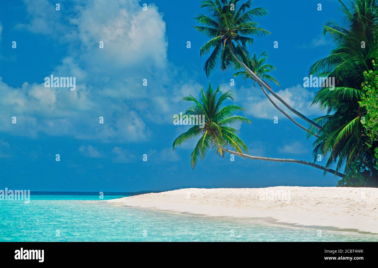 Reinen weißen Sandstrand auf der Insel Fihalhohi in Malediven Stockfoto