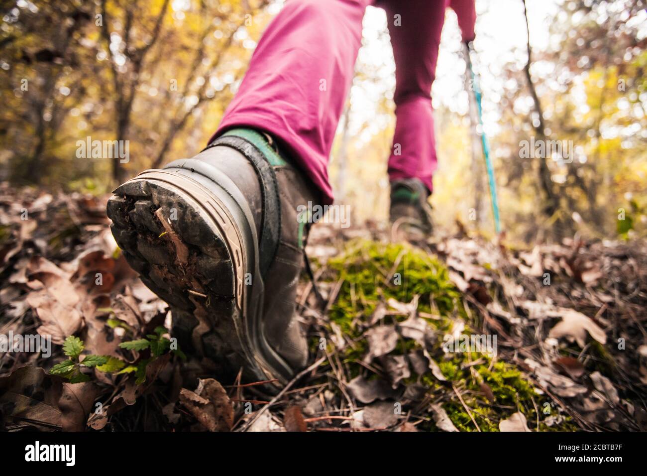Wandern Mädchen in einem Berg. Low-Angle-Ansicht von allgemeinen Sportschuh und Beine in einem Wald. Gesunder Fitness-Lebensstil im Freien. Stockfoto