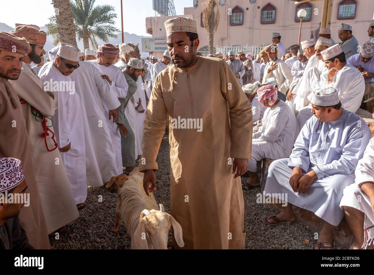 Nizwa Friday Märkte beschäftigt Ziegenauktion Stockfoto