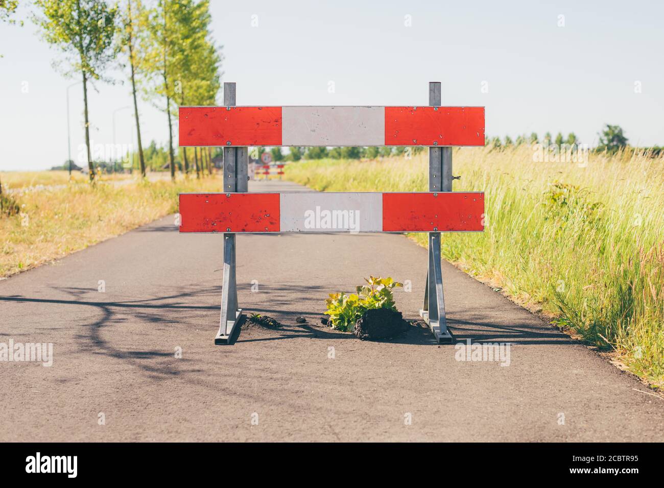 Keine Passing Zone Zeichen auf Bürgersteig oder Fahrradweg, beschädigte Straße wegen der Pflanze wächst durch Asphalt. Sint-Oedenrode, Niederlande Stockfoto