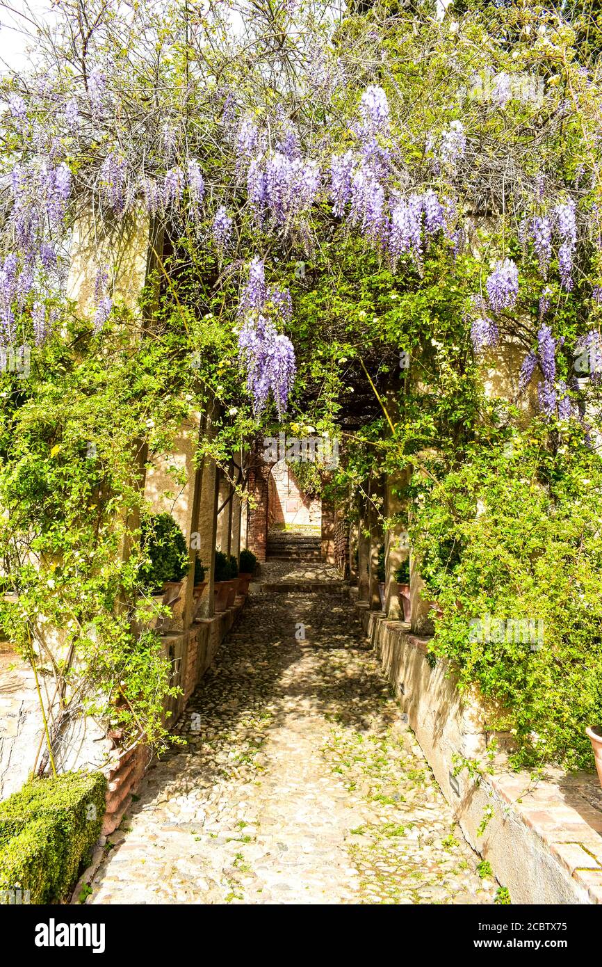 Blumen hängen über einem Pfad an der Alhambra Stockfoto