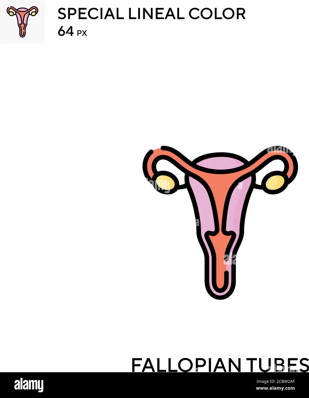 Eileiter Spezielle lineare Farbe Vektor-Symbol. Symbole für Eileiter für Ihr Geschäftsprojekt Stock Vektor