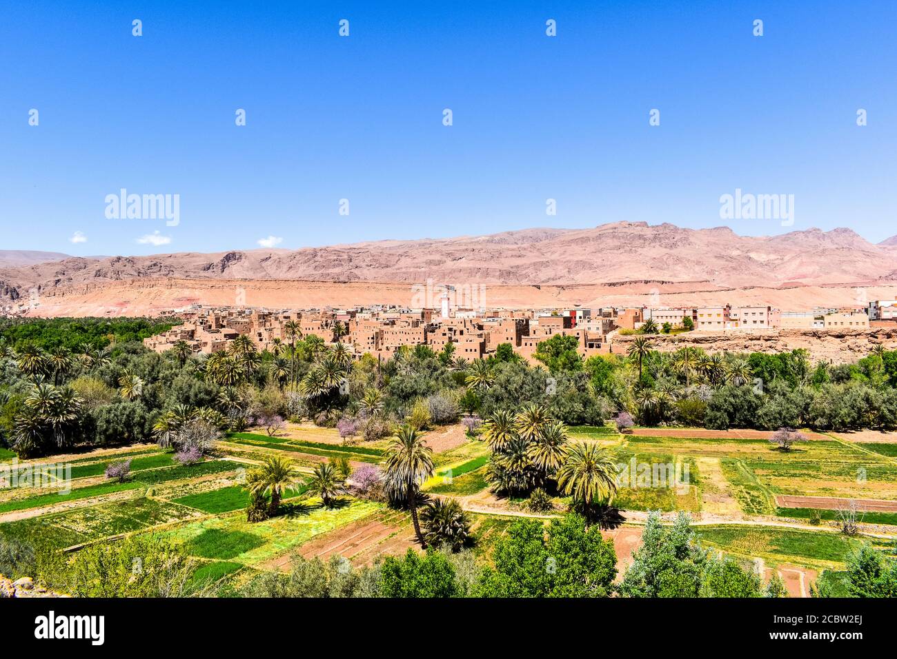 Ouarzazate Stockfoto