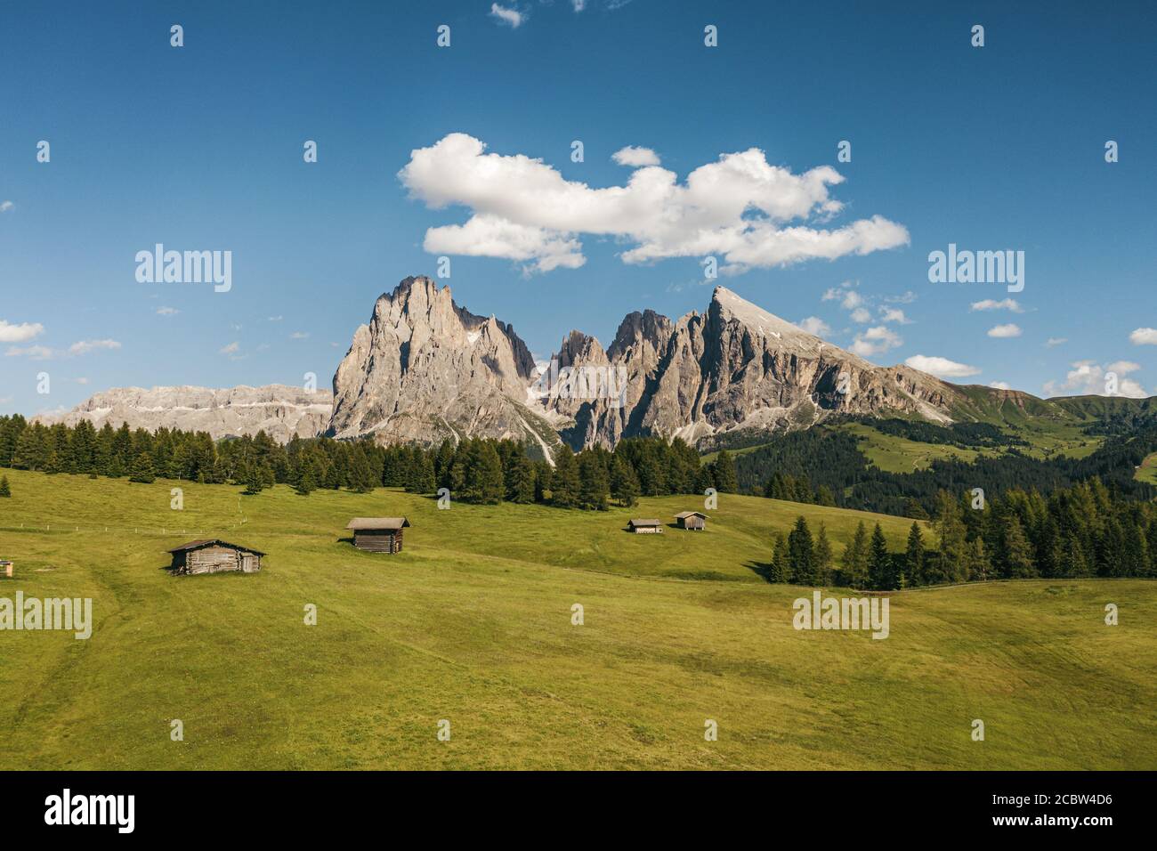 Seiser Alm - Seiser Alm Wiesen mit Langkofel - Langkofel Berggruppe im Hintergrund in Dolomiten, Trentino-Südtirol, Südtirol, Italien, EUR Stockfoto