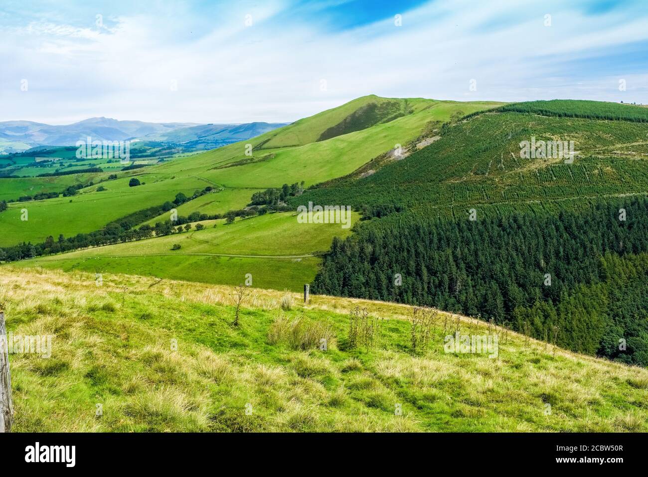 Moelfre Hill in Mid Wales in der Nähe von Machynlleth Stockfoto