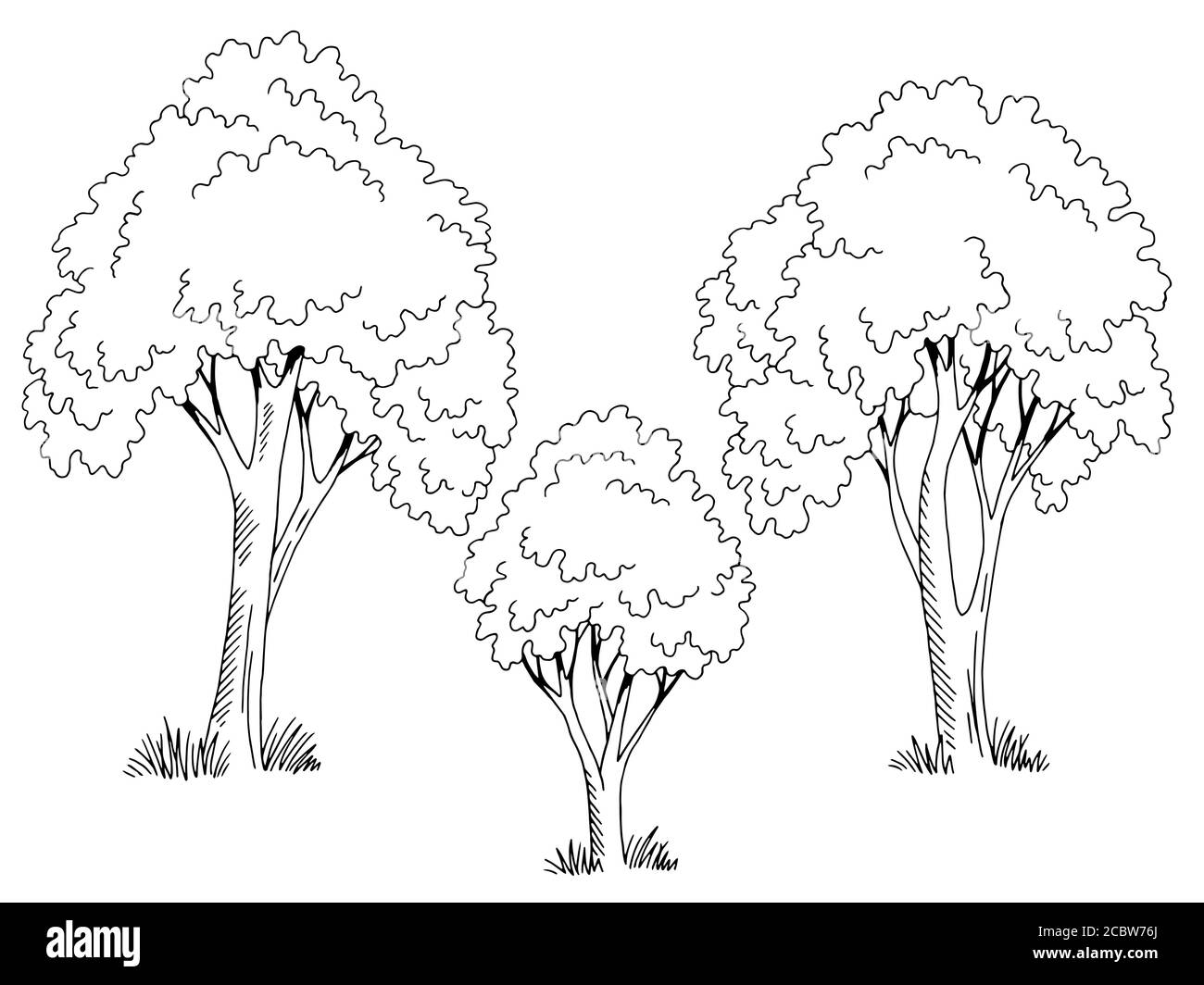 Baum Grafik Set schwarz weiß isoliert Skizze Illustration Vektor Stock Vektor