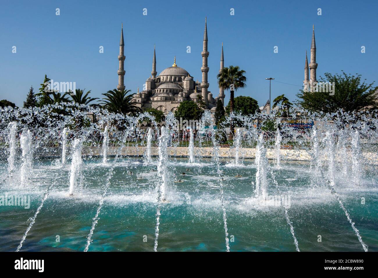 Ein Blick vom Springbrunnen im Sultanahmet Park im Sultanahmet Viertel von Istanbul in der Türkei auf die Blaue Moschee. Stockfoto