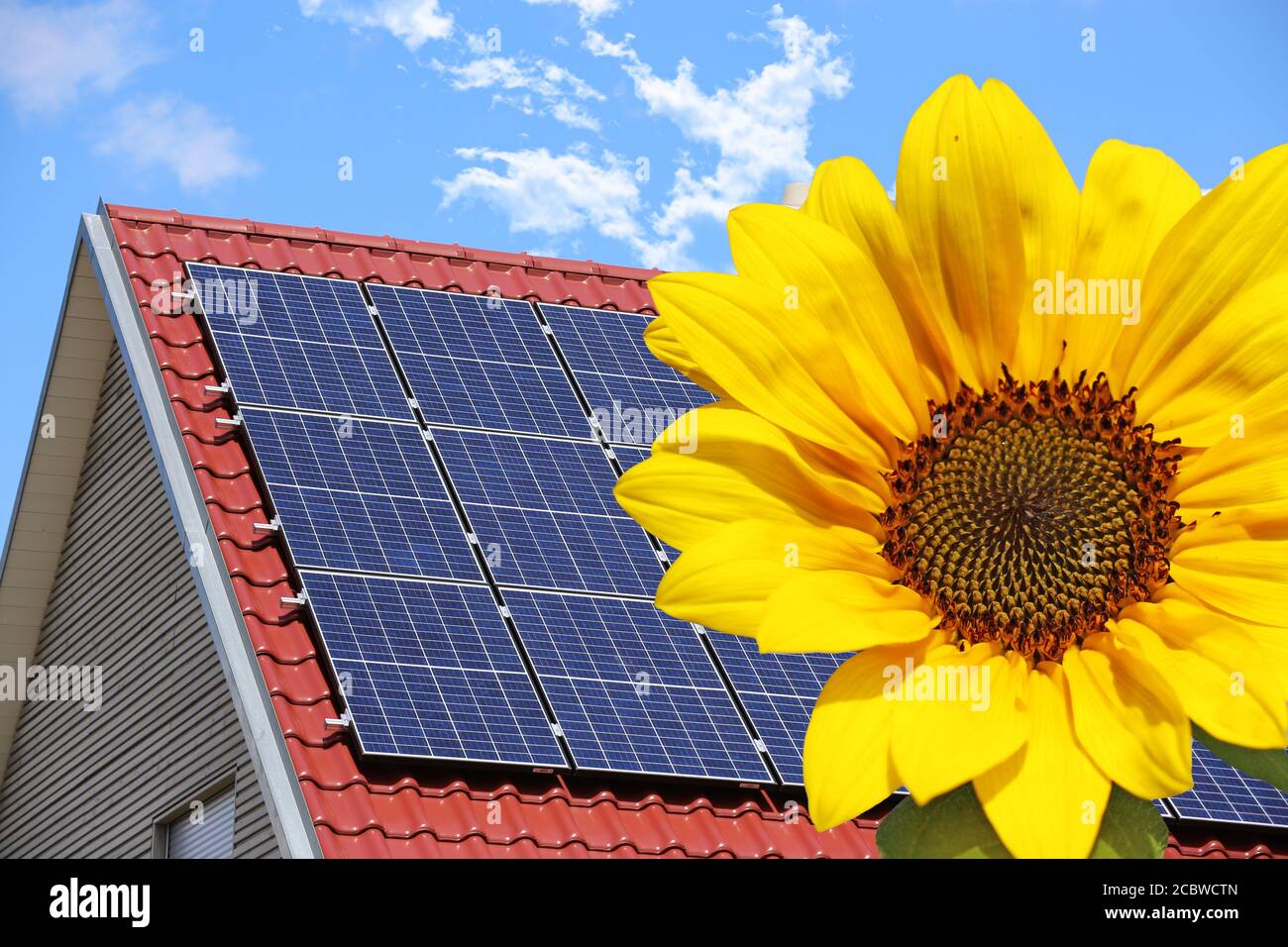 Sonnendach (Photovoltaik)mit Sonnenblume im Vordergrund Stockfoto