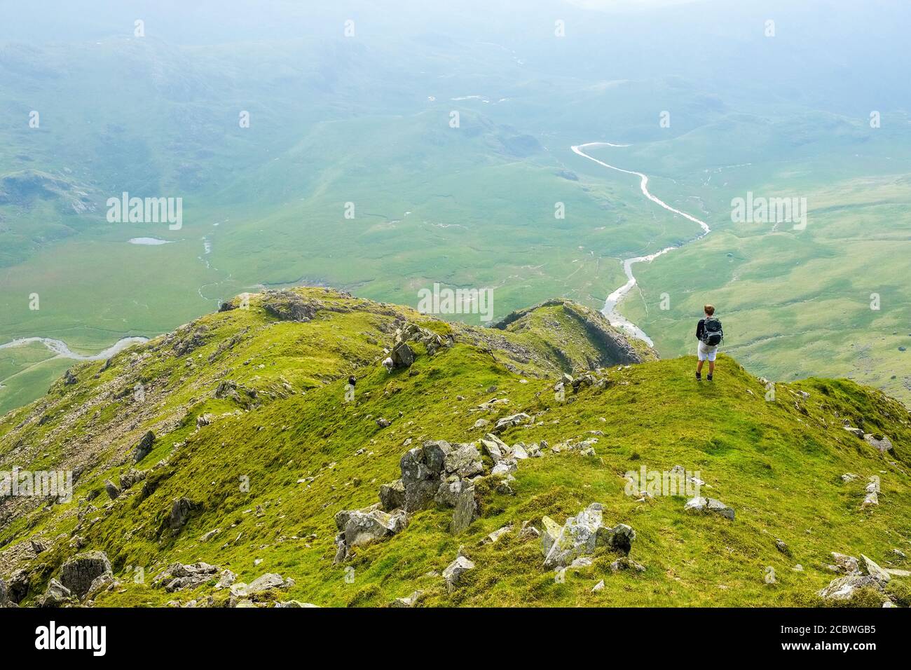 Teenager fiel auf Scafell über dem Oberen Esk Tal im Lake District National Park Stockfoto