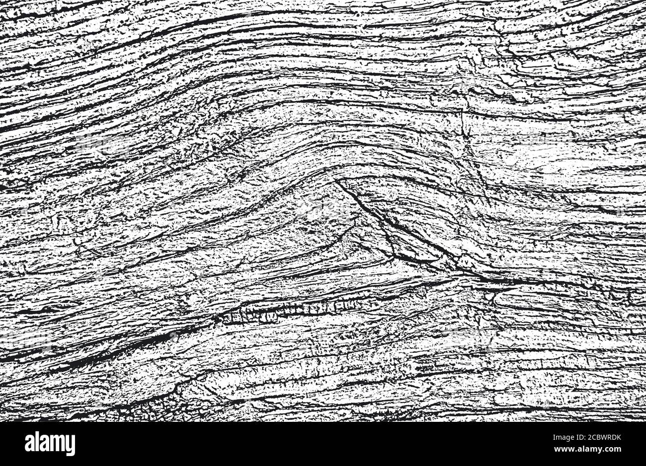 Alte trockene Holzstruktur in Bedrängnis bringen. Schwarz-weißer Grunge Hintergrund. EPS8-Vektorgrafiken Stock Vektor