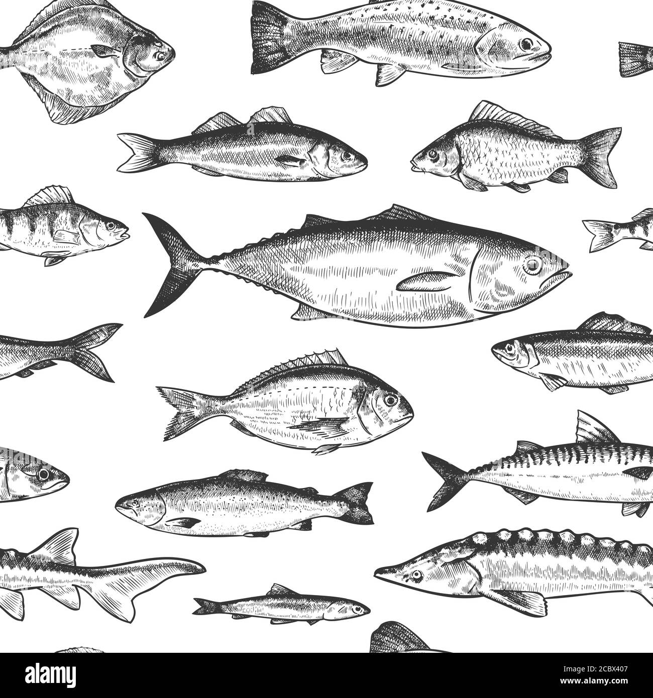 Nahtloses Fischmuster. Hand gezeichnet verschiedene Meer und Fluss Fische, marine Unterwasserleben monochrome Druck Tapete Skizze Vektor Textur Stock Vektor