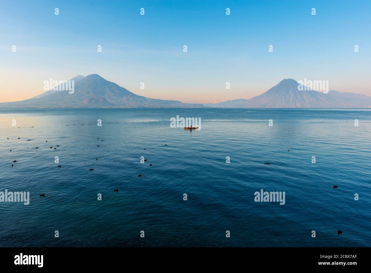 Der Vulkan San Pedro, Toliman und Atitlan bei Sonnenaufgang mit einem Fischer in Fischerboot und Blässhühner (Fulica atra), Atitlan See, Panajachel, Guatemala. Stockfoto