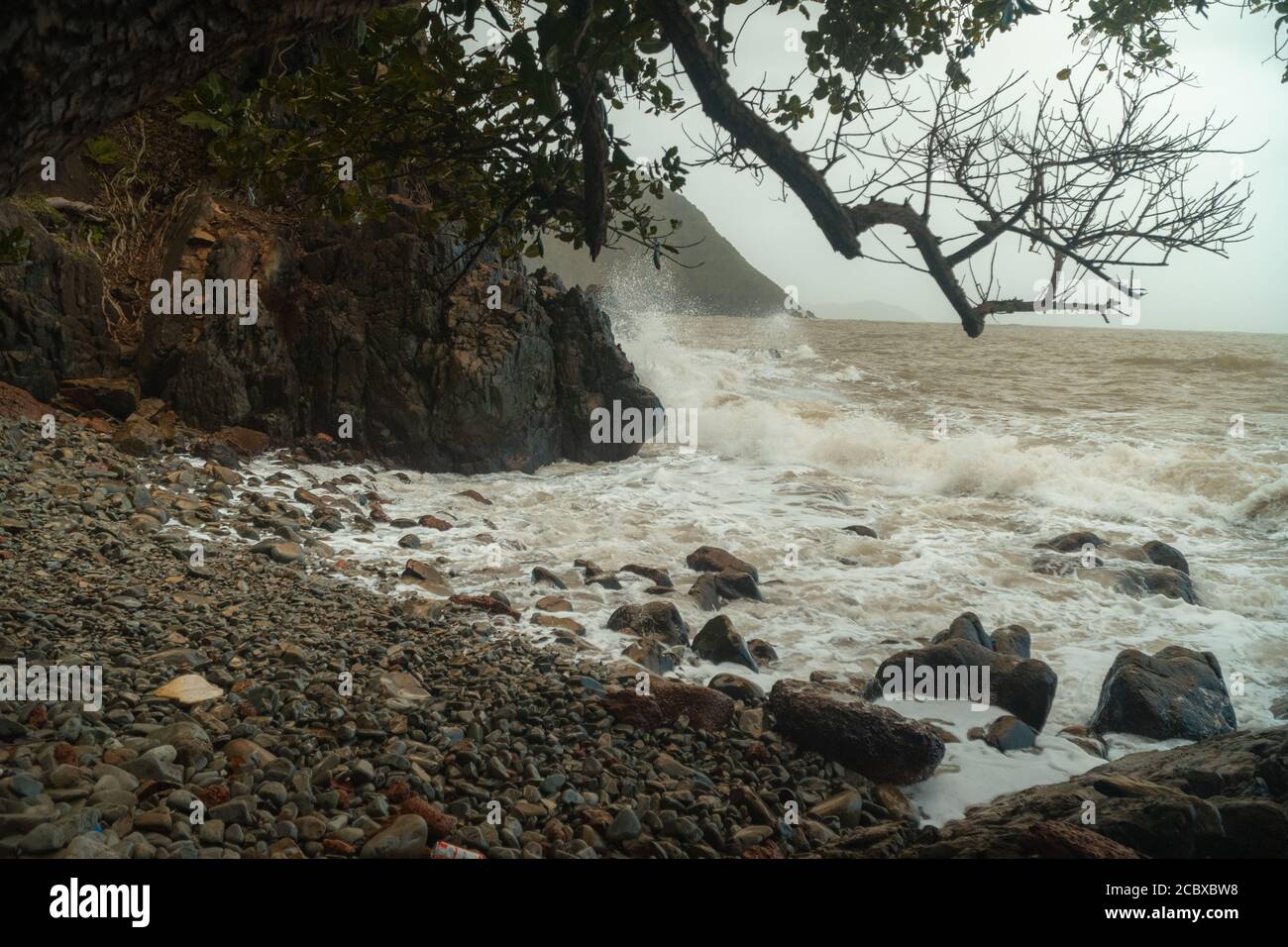 Wellen krachen an einem felsigen Strand mit einem über-hängenden Baumzweig bei Canacona in Goa, Indien. Stockfoto