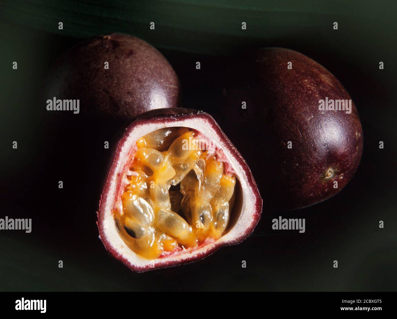 Passionsfrucht, Pasiflora edulis, Schnittschnitt mit Fleisch und Samen, stammt aus Brasilien Stockfoto