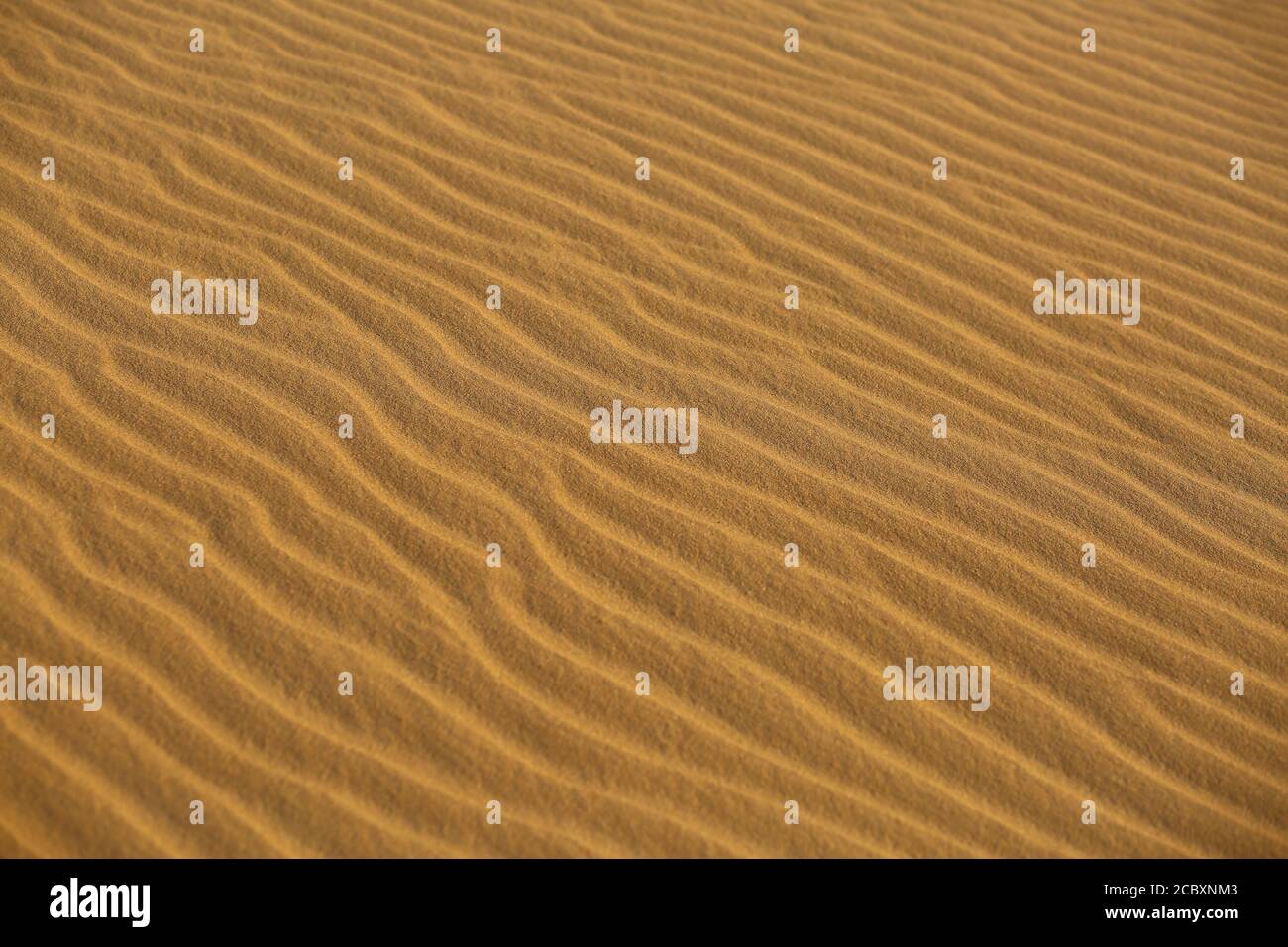 Nahaufnahme Textur von Wüstensanddünen bei Sonnenuntergang in Oleschky Sandes, Ukraine Stockfoto