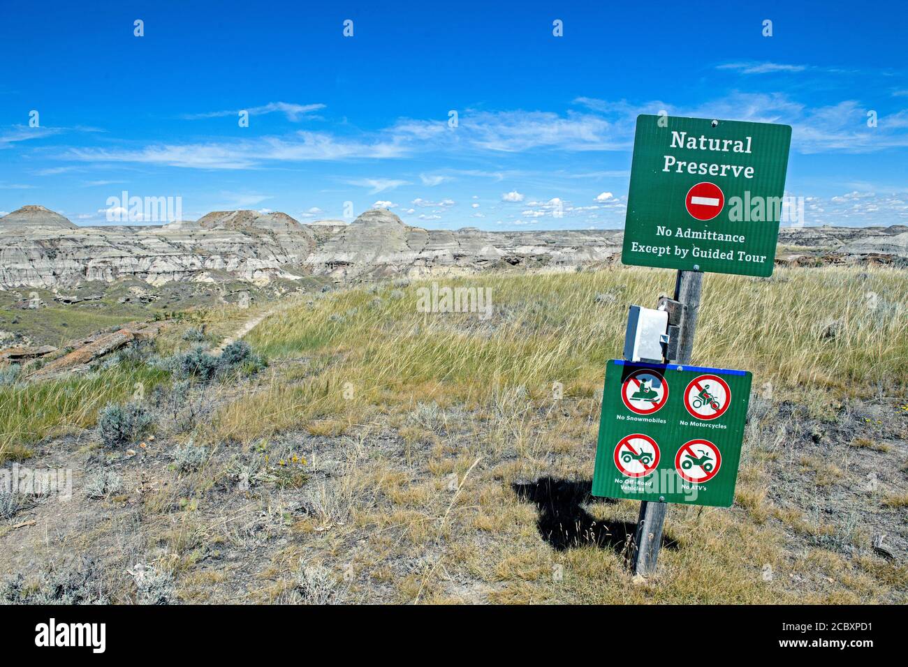 Dinosaurier-Provinzpark in Alberta, Kanada Stockfoto