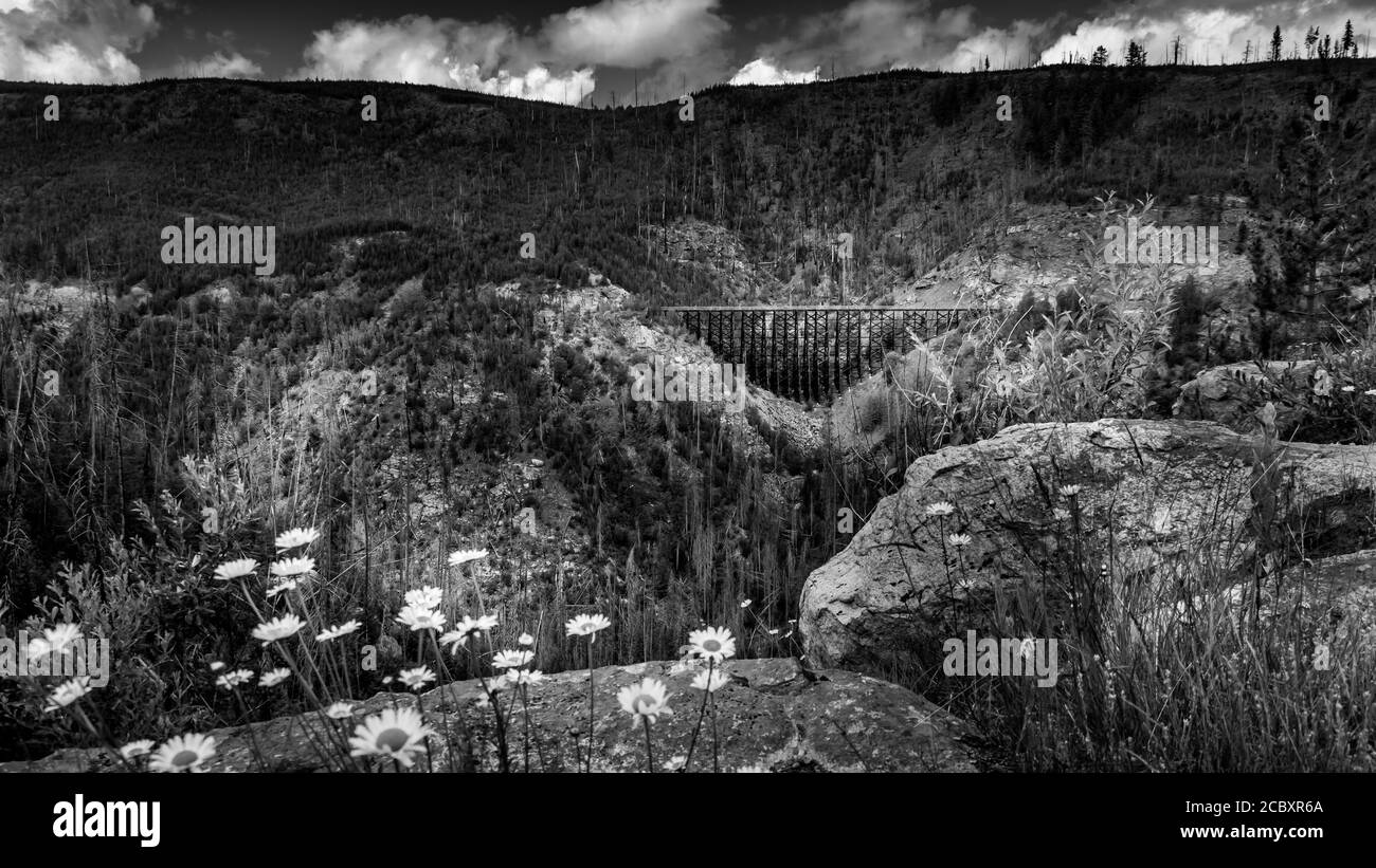 Schwarz-Weiß-Foto von hölzernen Trestle Bridge und Wildblumen in Myra Canyon auf der verlassenen Kettle Valley Railway von Myra Canyon, BC, Kanada Stockfoto