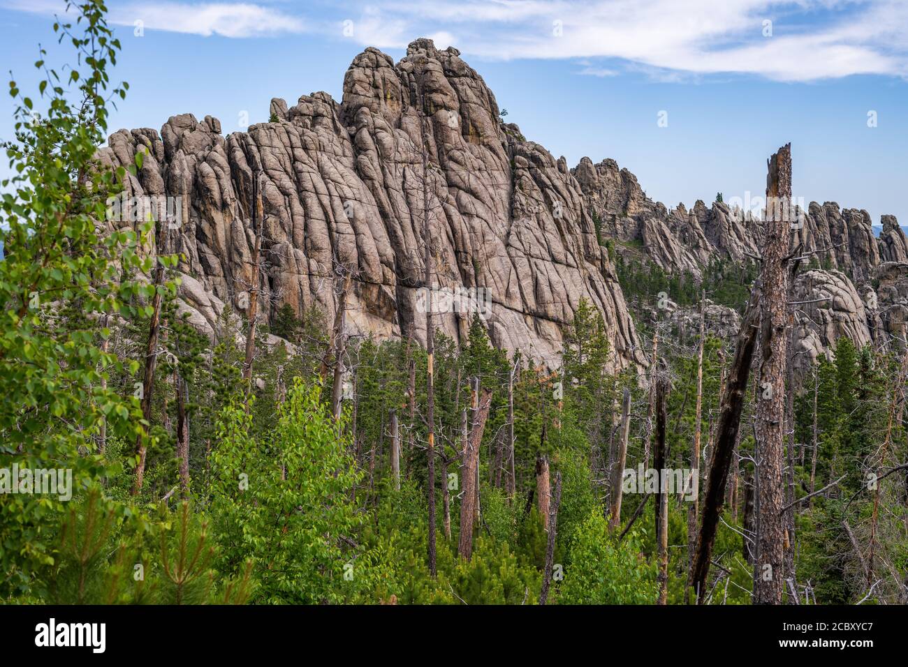 Blick auf dem Weg zum Black Elk Peak, dem höchsten Punkt in South Dakota Stockfoto