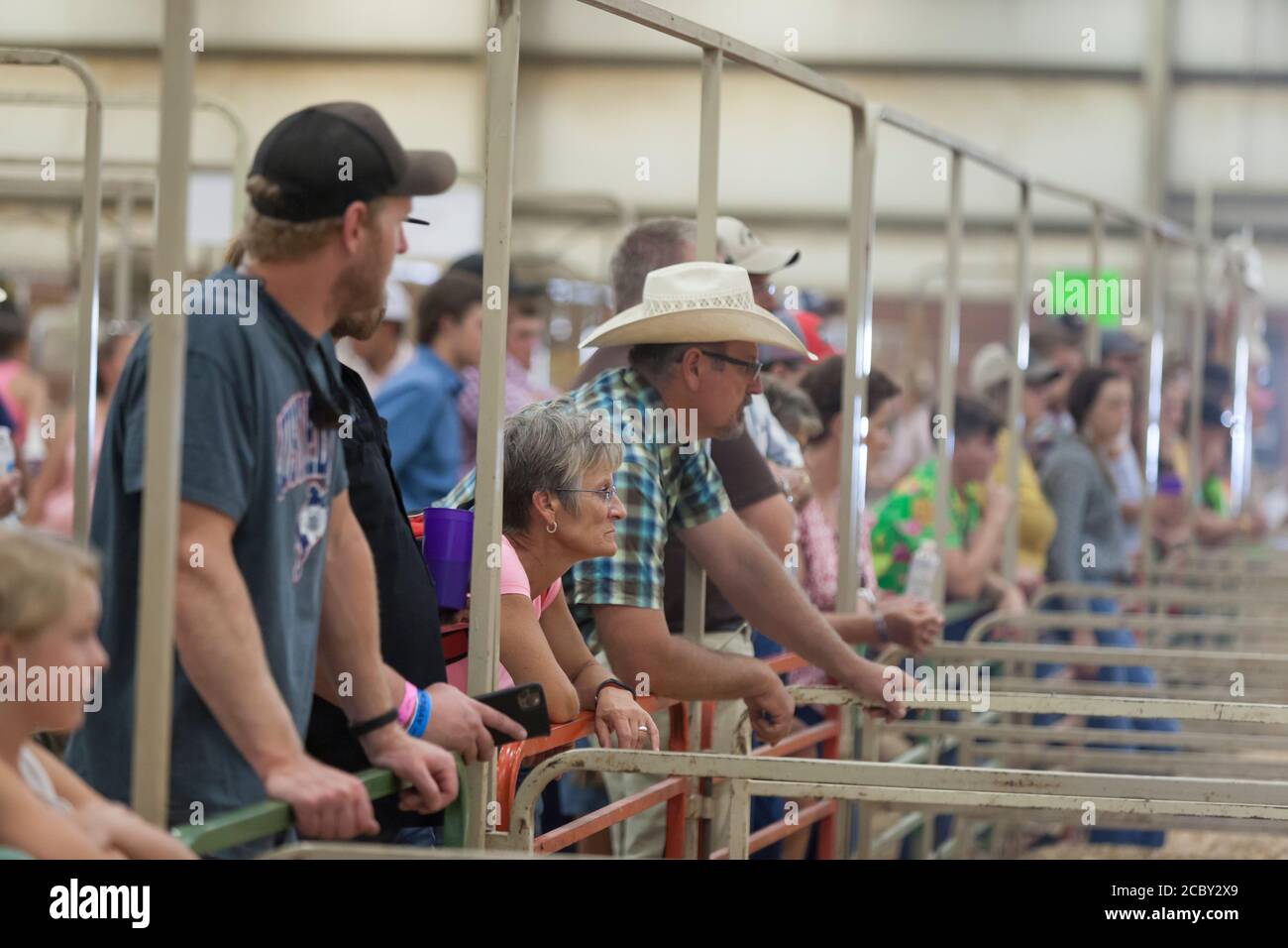 Zuschauer versammeln sich während der Viehzucht-Beurteilung auf der Wyoming State Fair in Douglas am Donnerstag, 13. August 2020. Die 108. Jährliche Messe eröffnete diese Woche mit zusätzlichen Vorsichtsmaßnahmen, um die Ausbreitung des COVID-19 Virus zu verhindern. Stockfoto