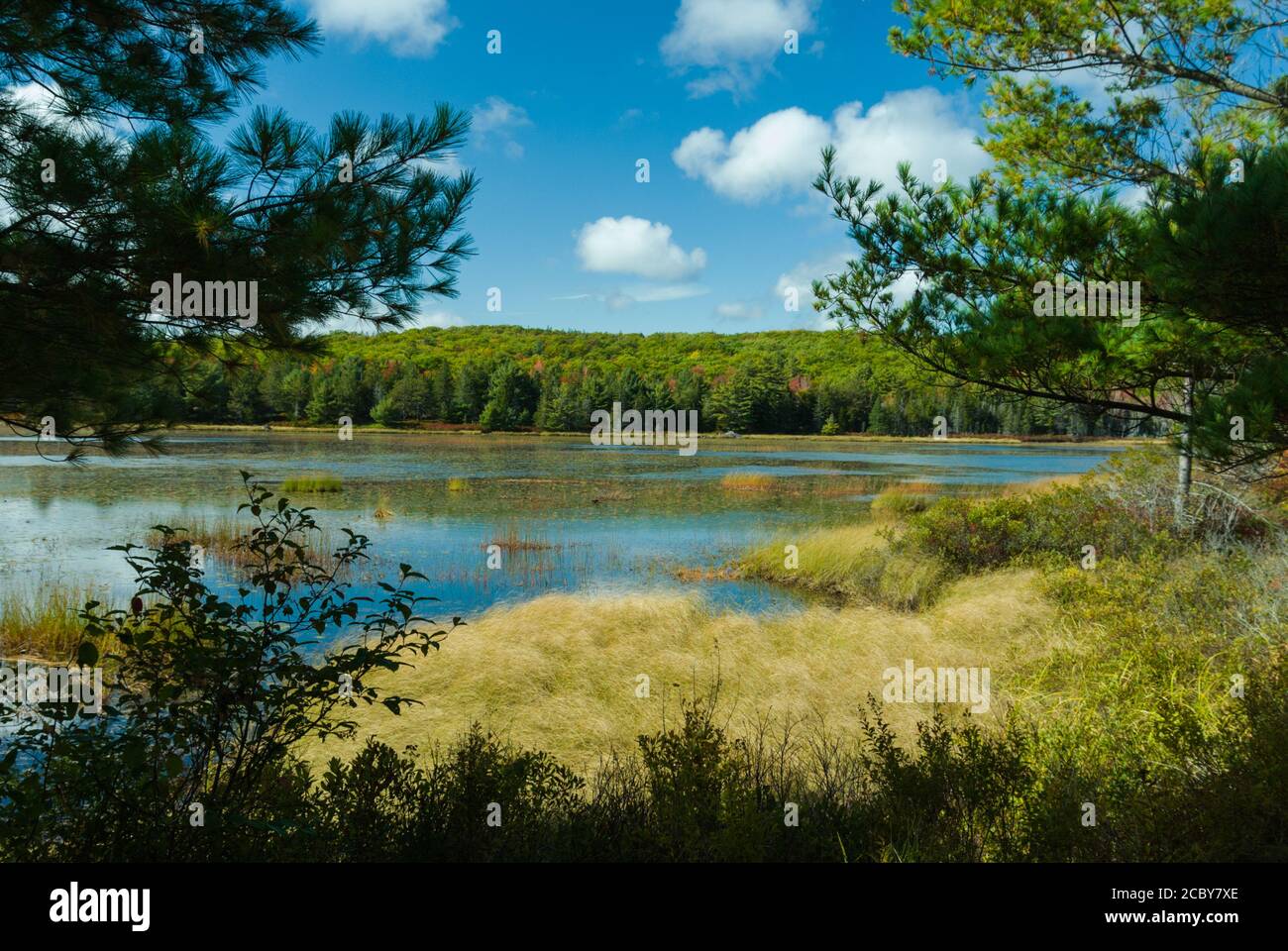 Tante Betty Pond im Acadia National Park auf Mount Desert Island in Maine; USA Stockfoto