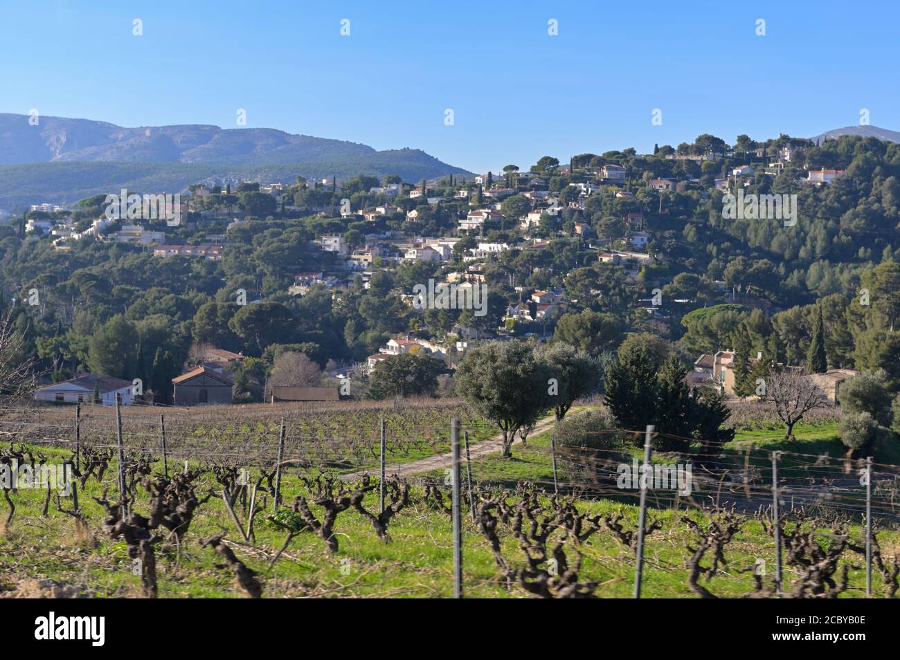 Die Weinberge in der Nähe der Boudard / Les Cuettes Hügel von Cassis, FR Stockfoto