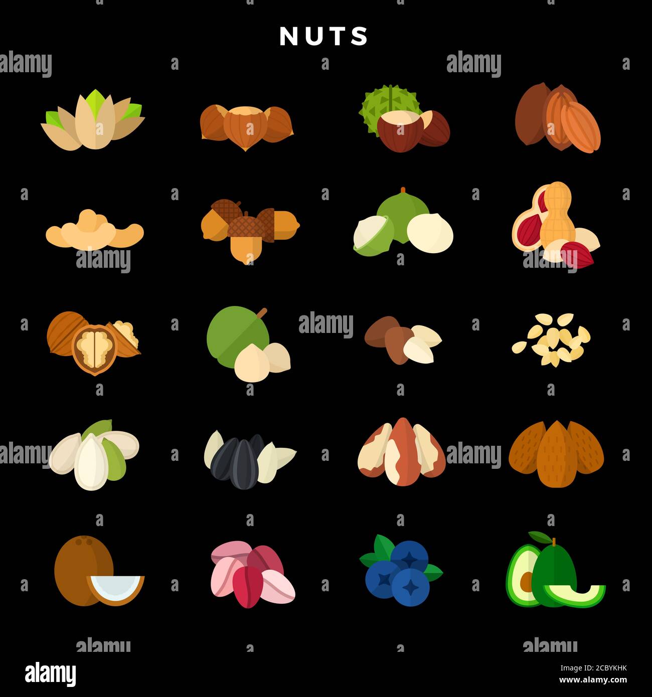 Nüsse aller Art. Set von verschiedenen Nüssen, Körnern und Samen. Vektorgrafik auf dunklem Hintergrund Stock Vektor
