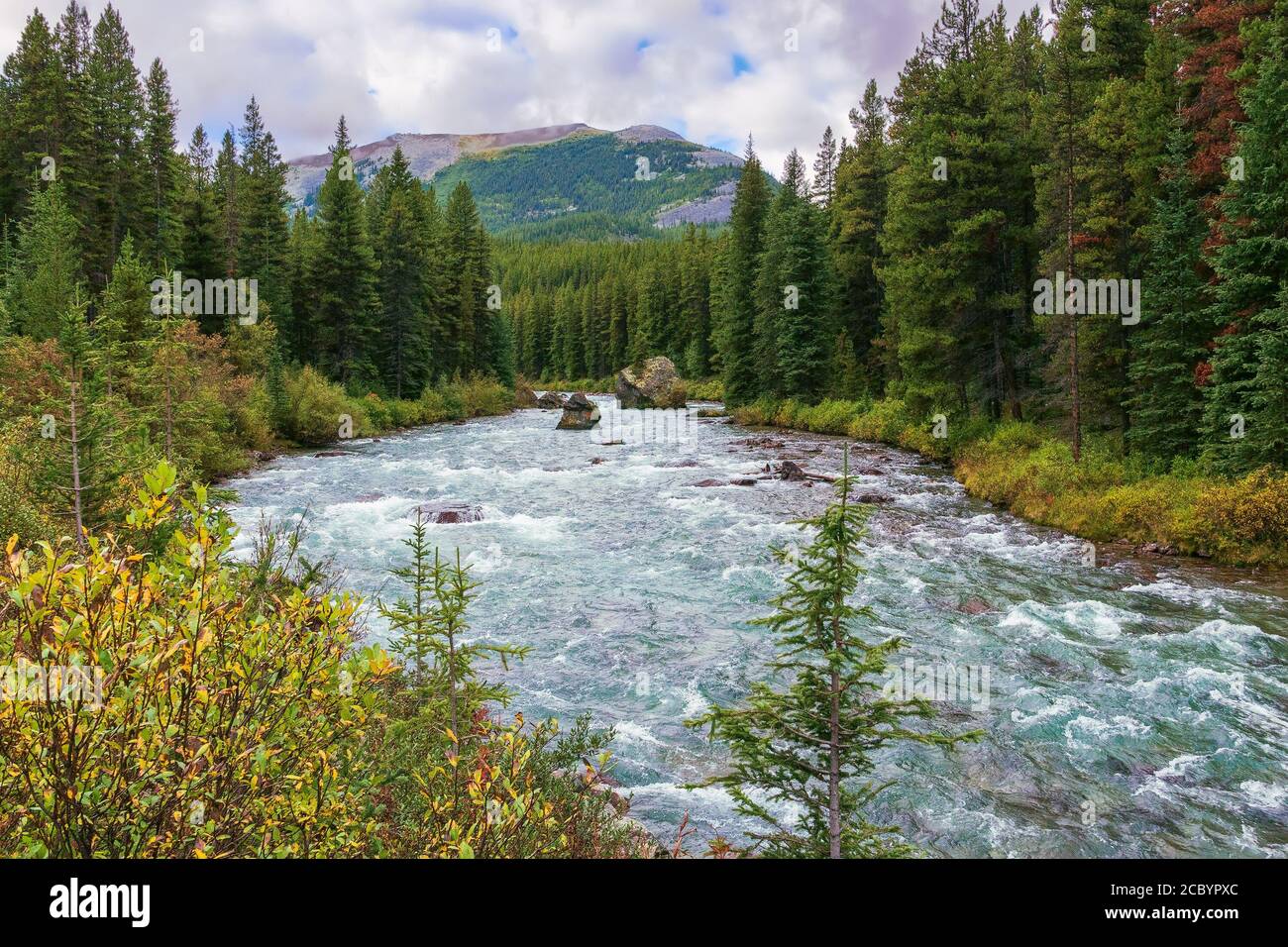 Maligne River der Nebenfluss des Athabasca River im Jasper National Park. Alberta. Kanada Stockfoto