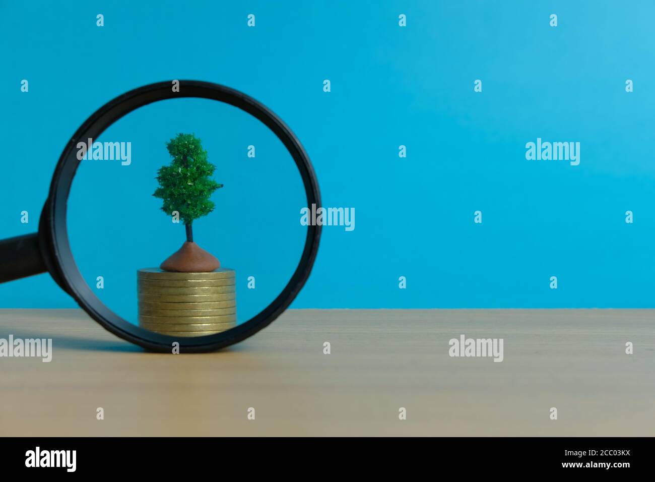 Finanzgeschäftskonzept - Suche nach Investitionsplan. Münzstapel mit Pflanzen- und Lupenglas Stockfoto