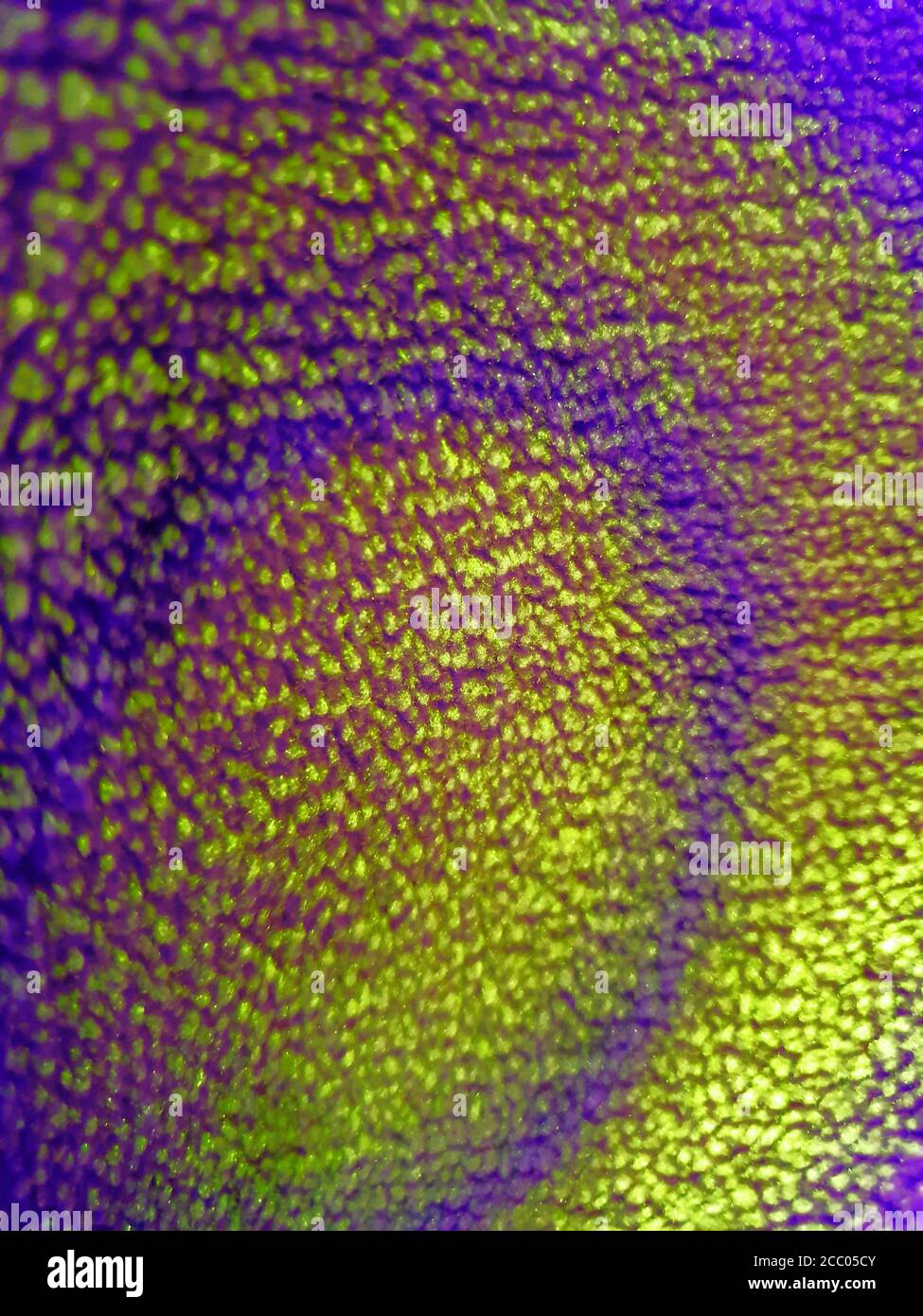 Illustration Dekoration Unschärfe Kunstspiel Cartoon Thema Bildschirm Hintergrund Posterisierung von Fotos Texturen digital erstellt visuelle Konzepte Stockfoto