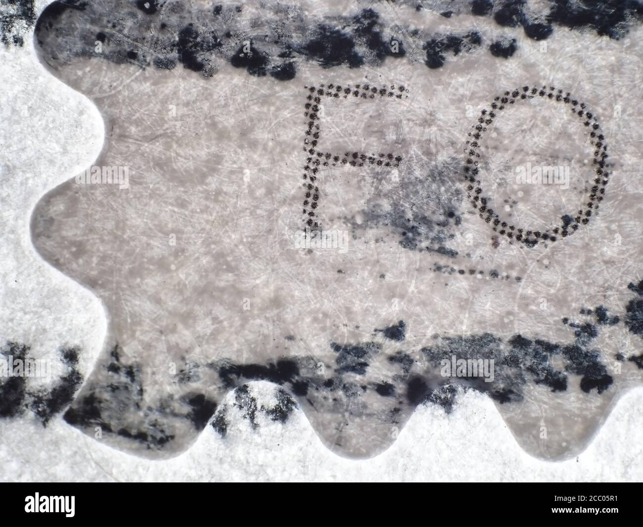 USA Forever Stempel unter dem Mikroskop (2x objektive Vergrößerung), Durchlicht Stockfoto