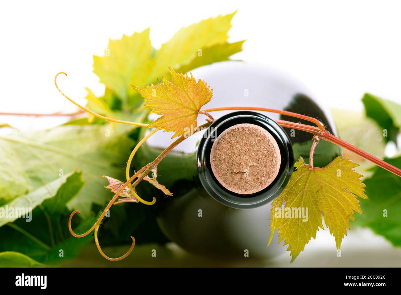 Flasche Wein Kork Kappe Traubenblätter Zweig weißen Hintergrund Stockfoto