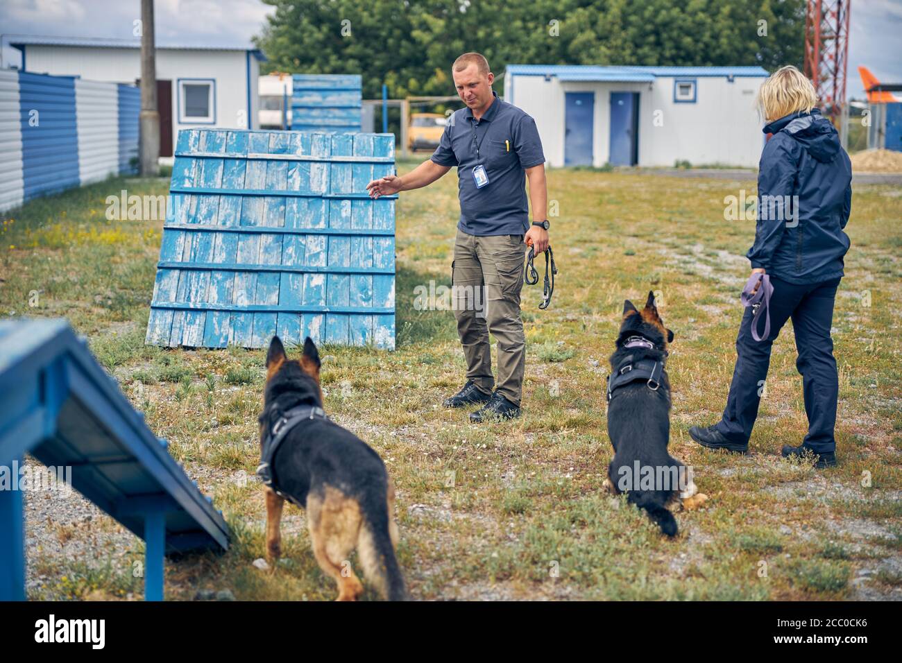 Professionelle Hunde Trainer Ausbildung Sicherheit Hunde im Freien Stockfoto