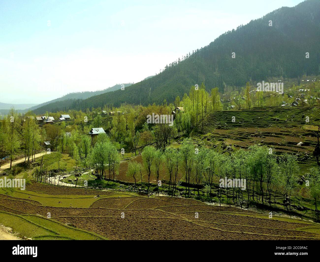 Dorf und schöner Himmel ein Baum und bunte Atmosphäre. Tag Zeit ein Blick auf Dorf Straße jangle Wälder und. Himmel blau weiß und Sonne Bäume Rahmen. Vergangenheit Stockfoto