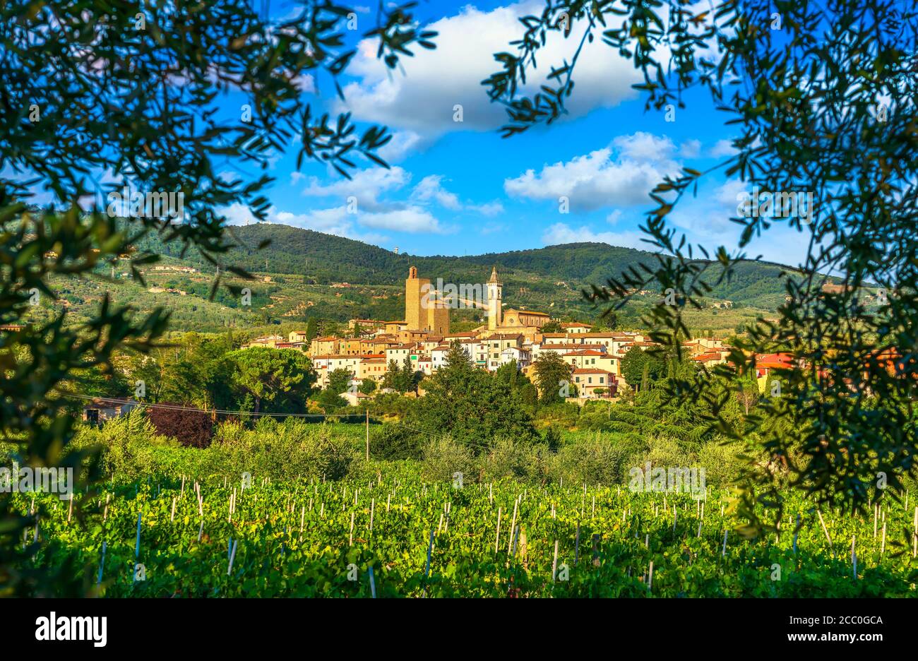 Vinci, Leonardo Geburtsort, Dorf, Weinberg und Olivenbäume. Florenz, Toskana Italien Europa. Stockfoto