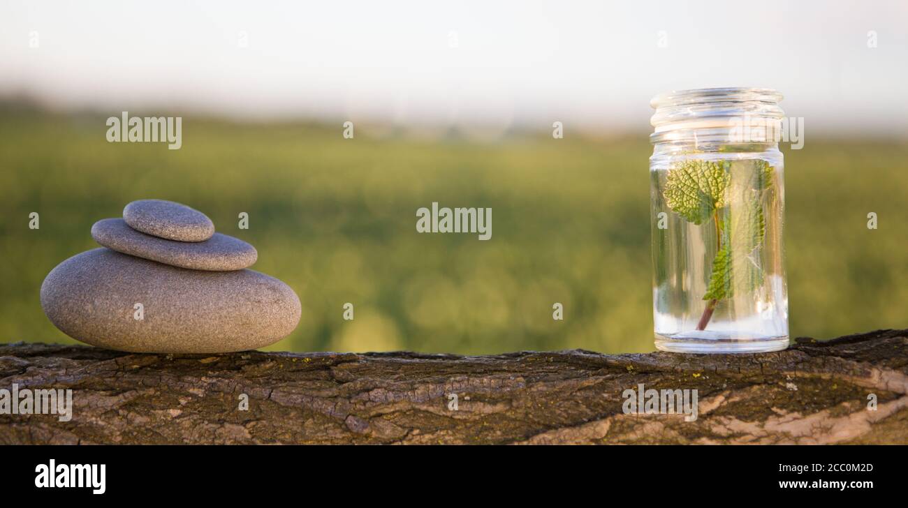 Stapel von Zen-Steinen und Kräutern (selektiver Fokus) Stockfoto