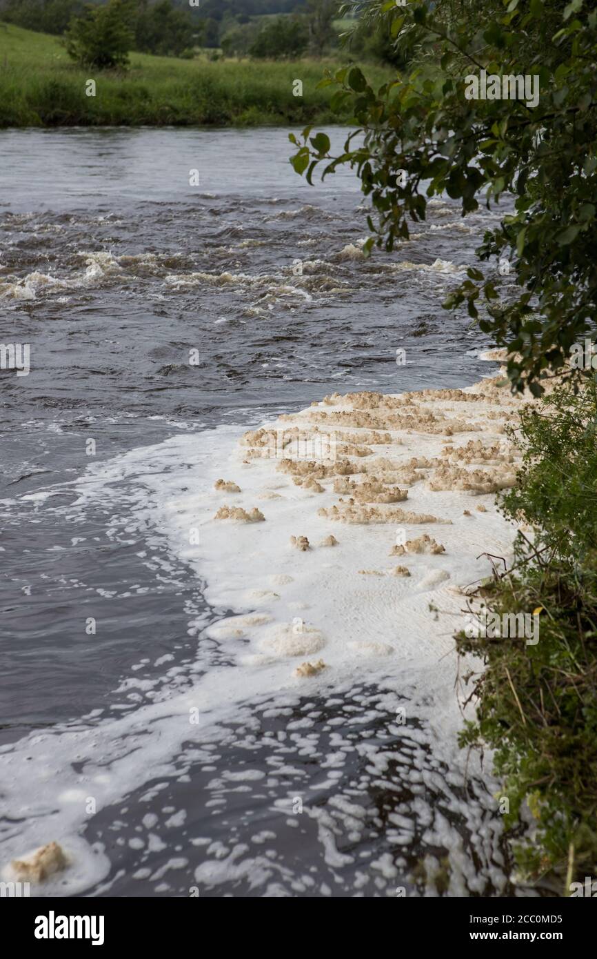 Verschmutzung durch weißen Schaum in einem Fluss, der die Umwelt kontaminiert Stockfoto