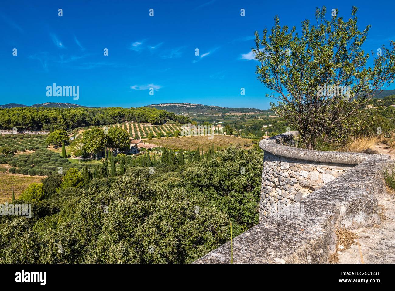 Frankreich, Provence, Vaucluse, Le Barroux, ländliche Landschaft mit Olivenbäumen und Reben vom Schloss aus gesehen Stockfoto