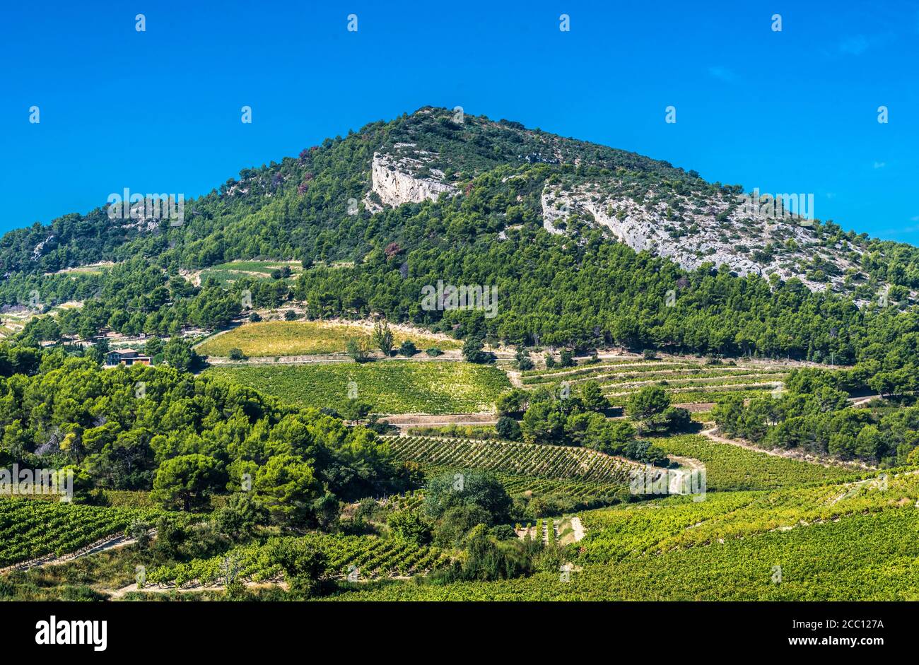 Frankreich, Provence, Vaucluse, Dentelles de Montmirail, Weinberglandschaft Stockfoto