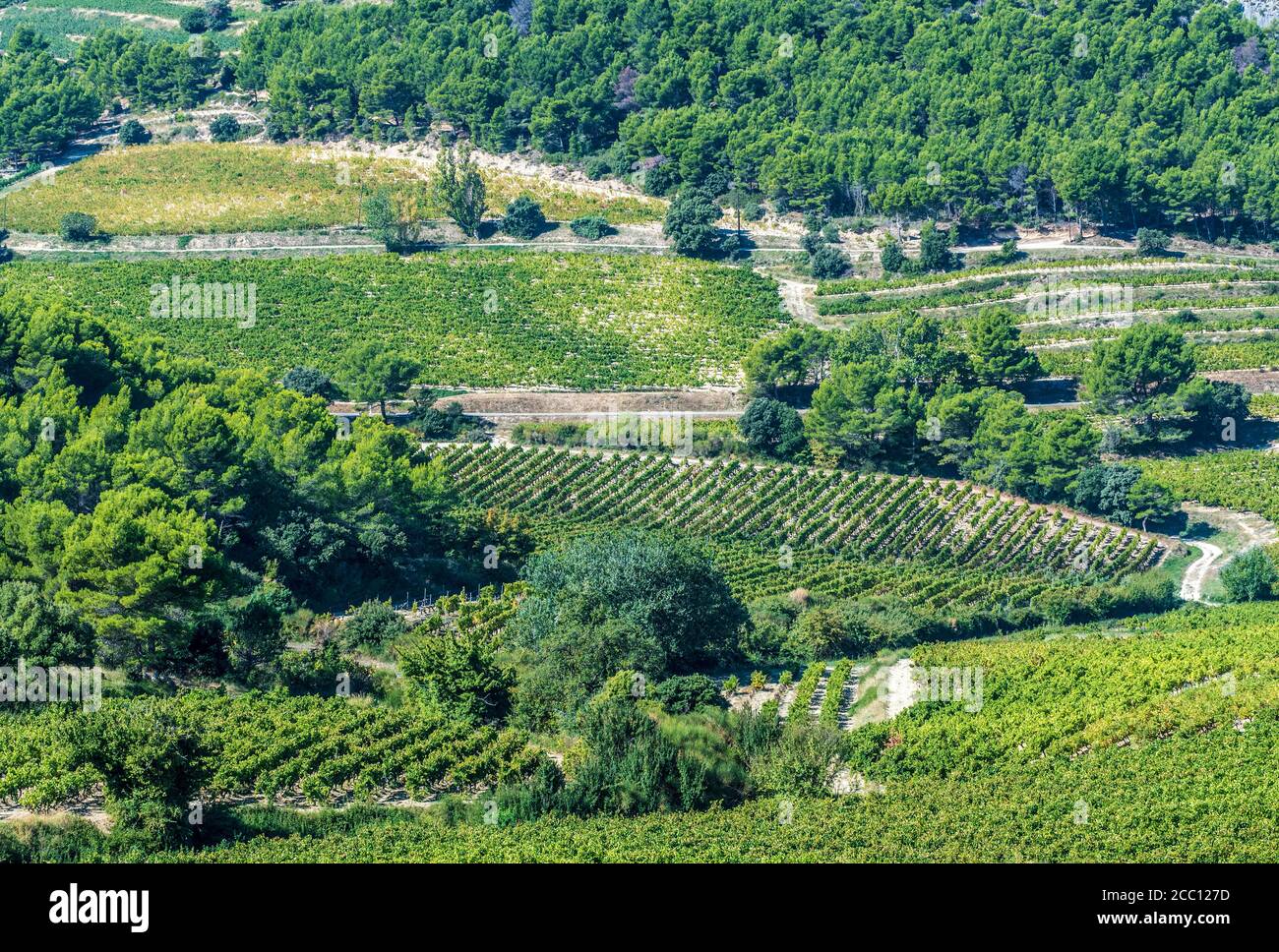 Frankreich, Provence, Vaucluse, Dentelles de Montmirail, Weinberglandschaft Stockfoto