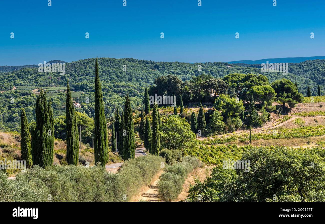 Frankreich, Provence, Vaucluse, Dentelles de Montmirail, ländliche Landschaft Stockfoto