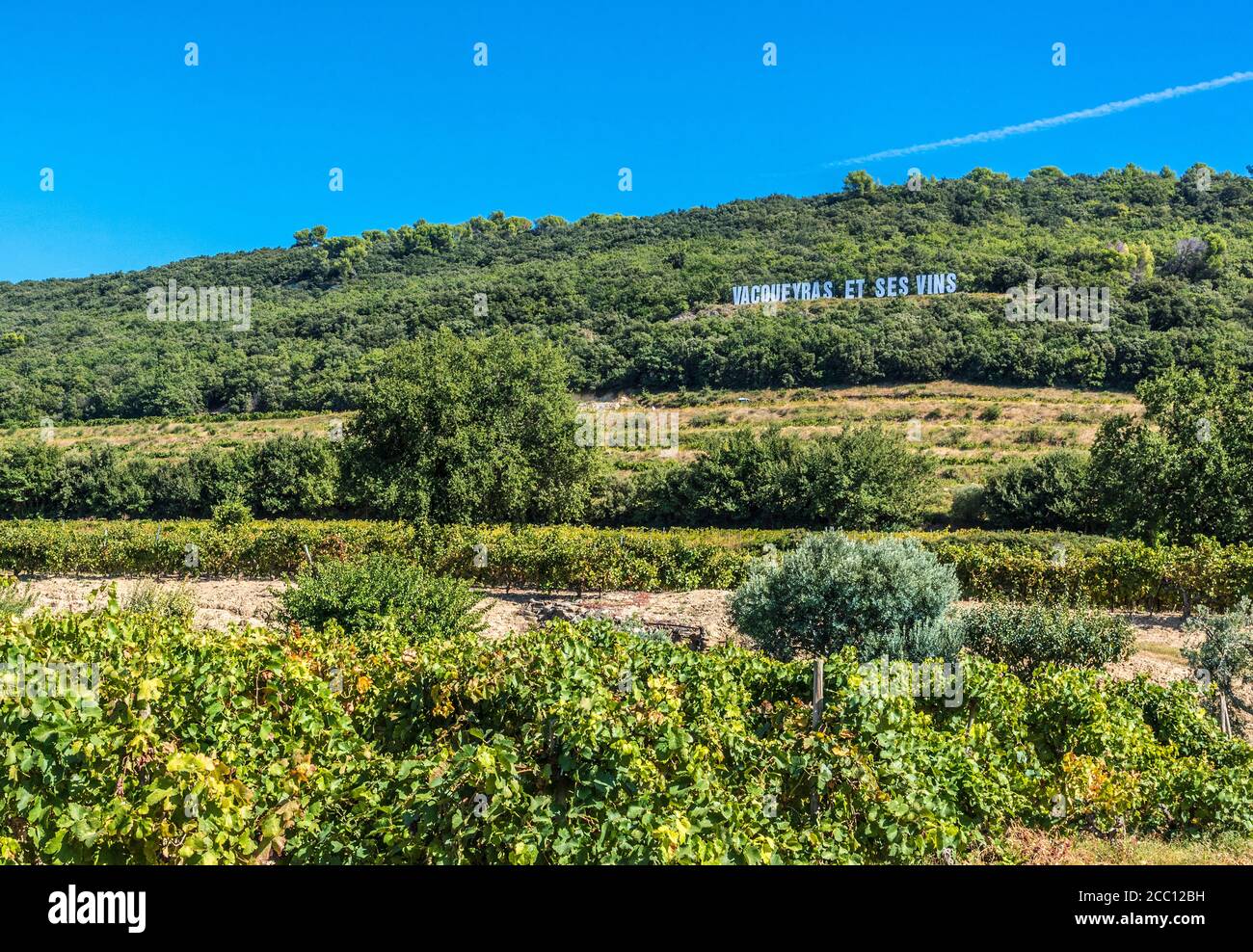 Frankreich, Provence, Vaucluse, Vacqueyras Stockfoto