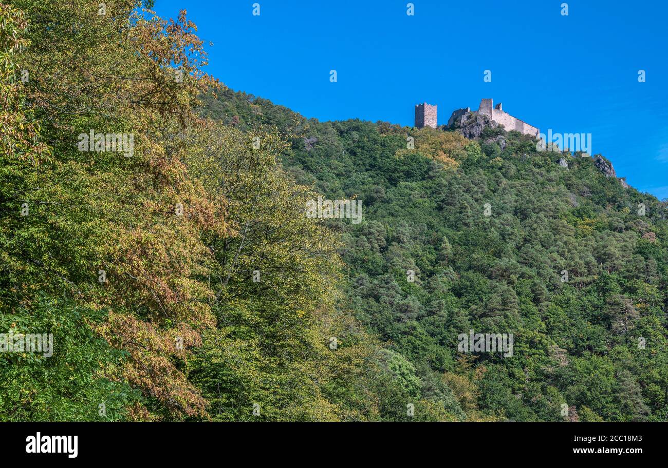 Frankreich, Elsass, Vogesenwald, Schloss oberhalb von Ribeauville Stockfoto