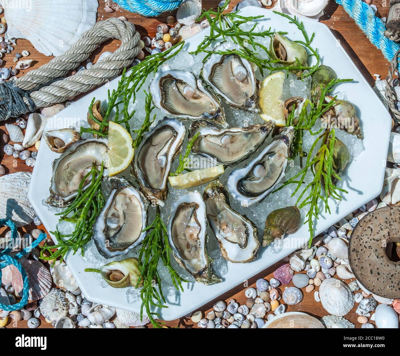 Frankreich, Arcachon Bay, Auster Stockfoto