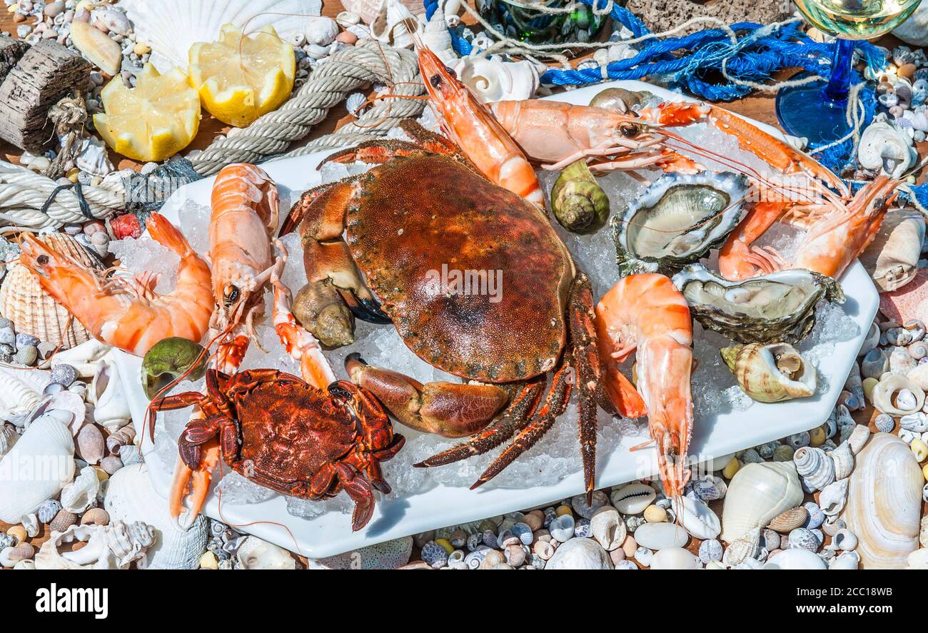 Frankreich, Arcachon Bay, Meeresfrüchte-Platte Stockfoto