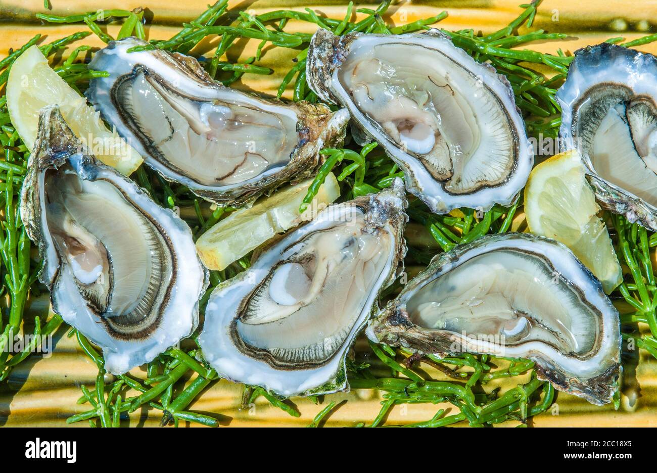 Frankreich, Arcachon Bay, Auster Stockfoto